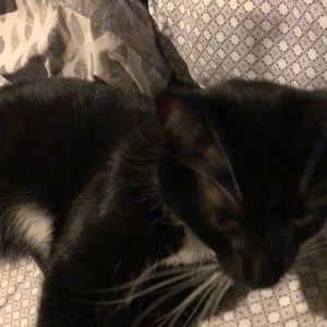 Meet your Posher, Chris